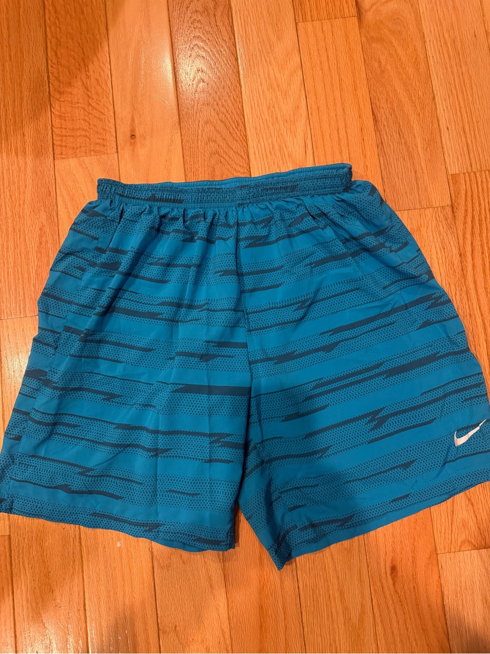 Nike Men’s Blue Striped Athletic Shorts